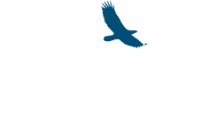 Solo Africa